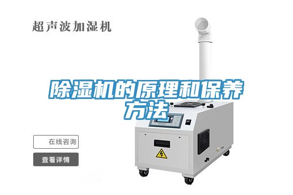 蕾丝视频污污污的原理和保养方法
