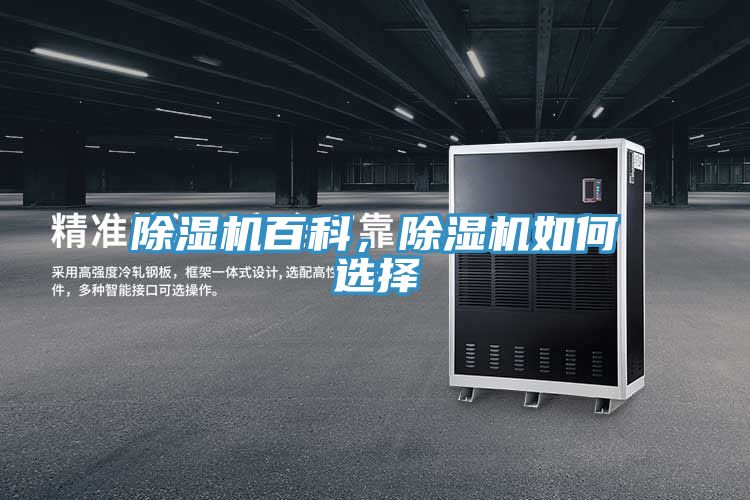 蕾丝视频污污污百科，蕾丝视频污污污如何选择