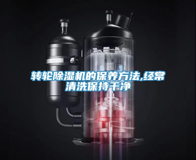 转轮蕾丝视频污污污的保养方法,经常清洗保持干净