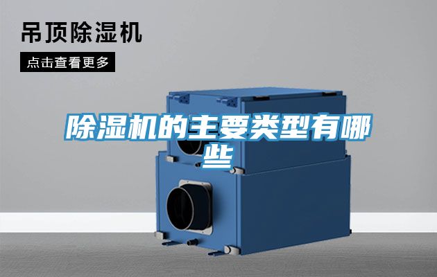 蕾丝视频污污污的主要类型有哪些