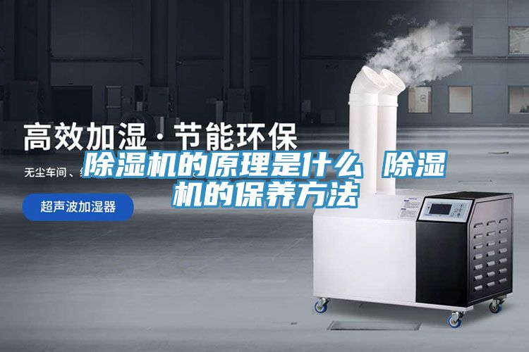 蕾丝视频污污污的原理是什么 蕾丝视频污污污的保养方法