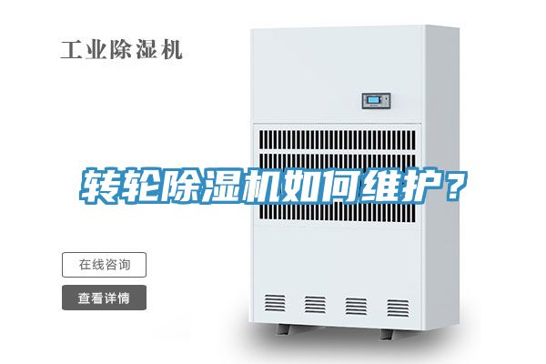 转轮蕾丝视频污污污如何维护？