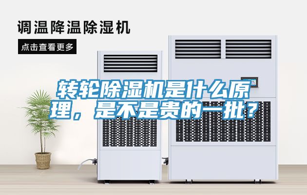 转轮蕾丝视频污污污是什么原理，是不是贵的一批？