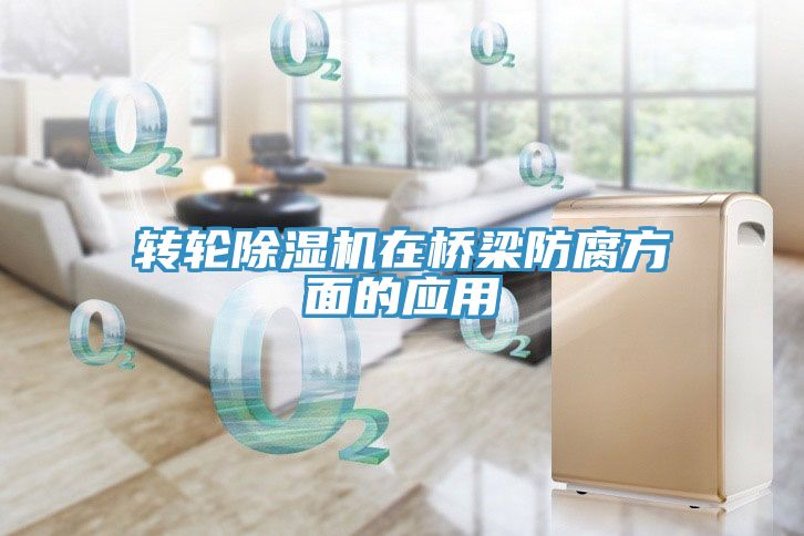 转轮蕾丝视频污污污在桥梁防腐方面的应用
