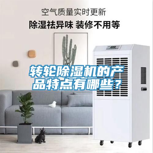 转轮蕾丝视频污污污的产品特点有哪些？