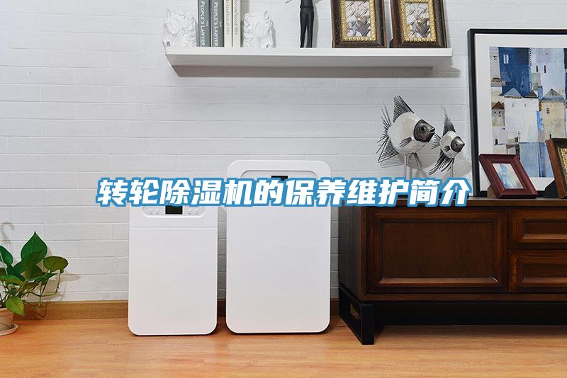 转轮蕾丝视频污污污的保养维护简介