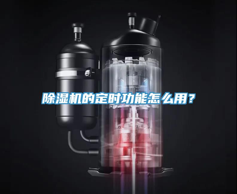 蕾丝视频污污污的定时功能怎么用？