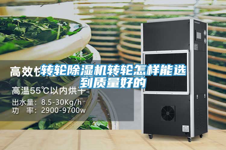 转轮蕾丝视频污污污转轮怎样能选到质量好的