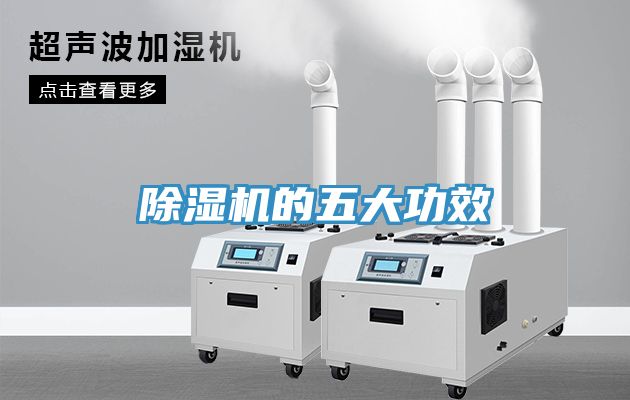 蕾丝视频污污污的五大功效